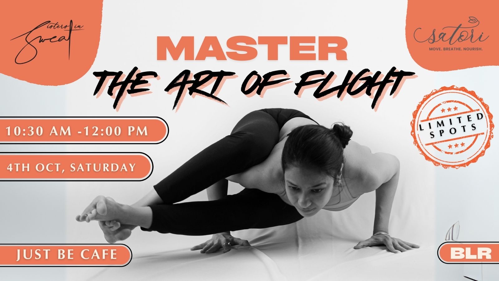 The Art Of Flight