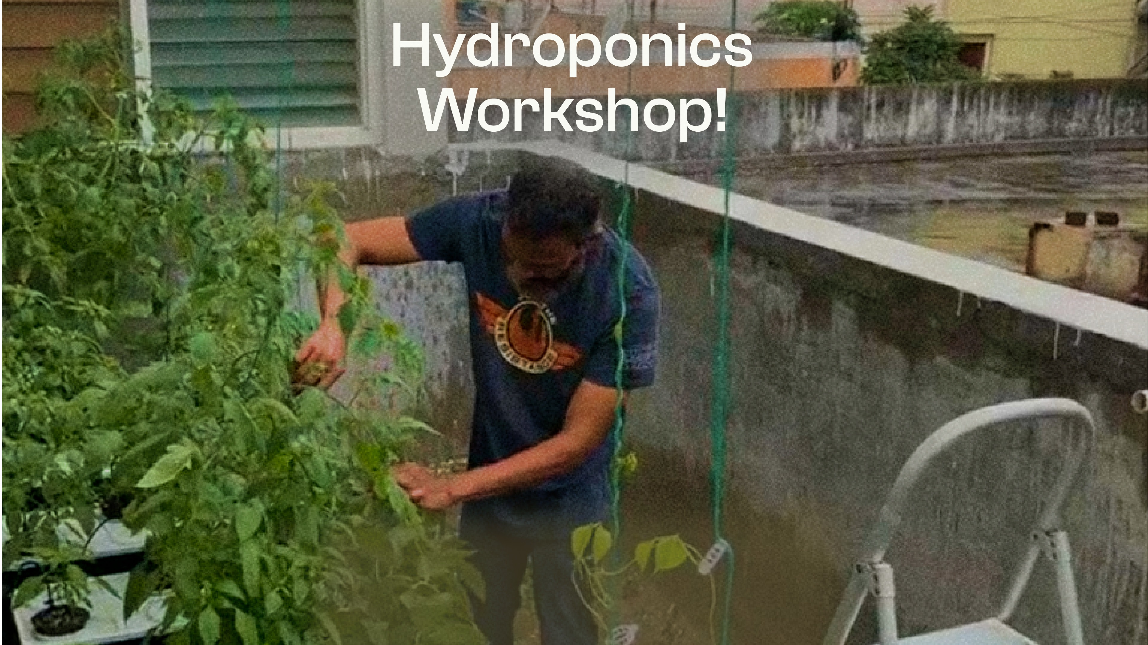 Hydroponics 101 - Image 3