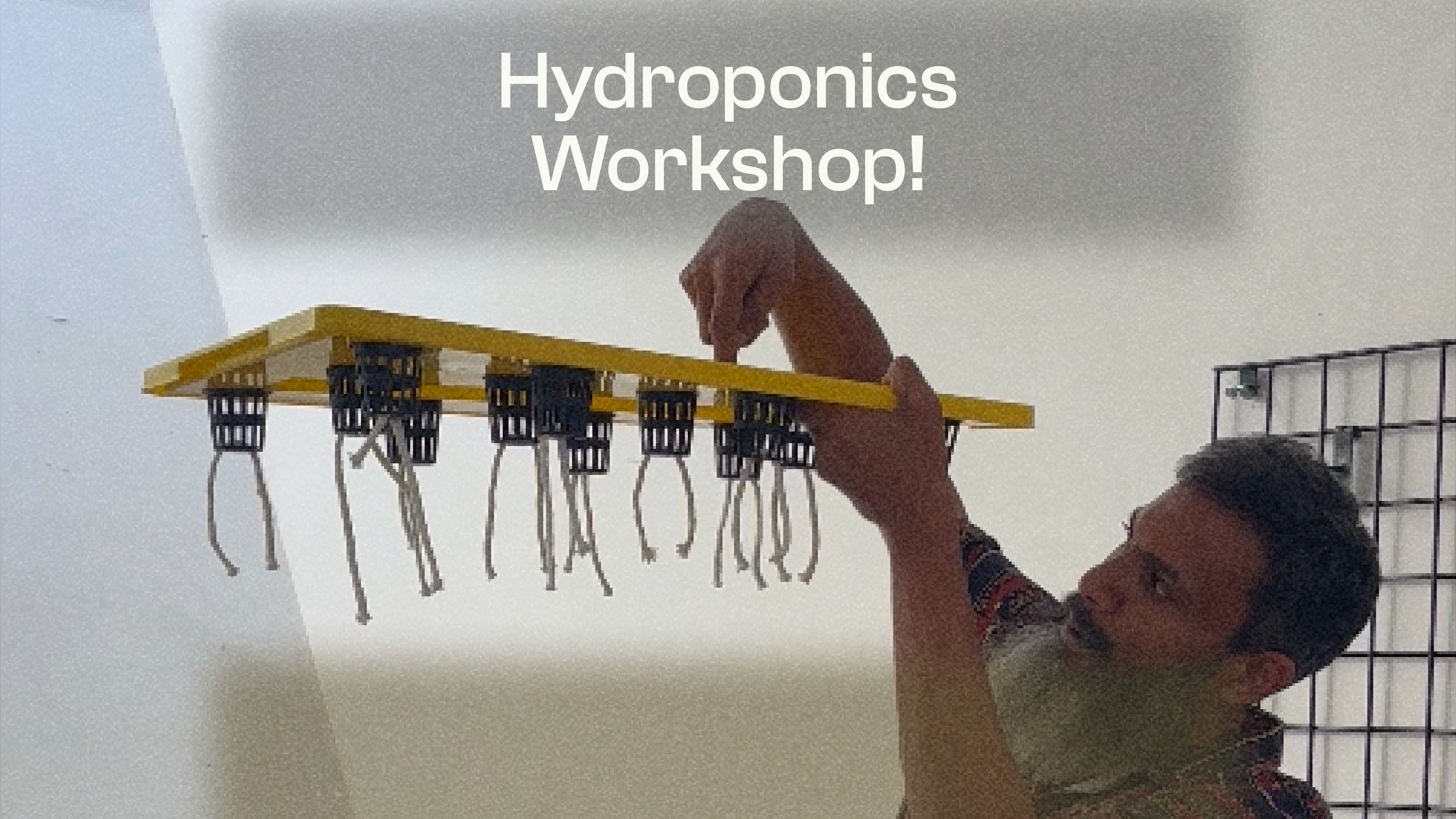 Hydroponics 101 - Image 2
