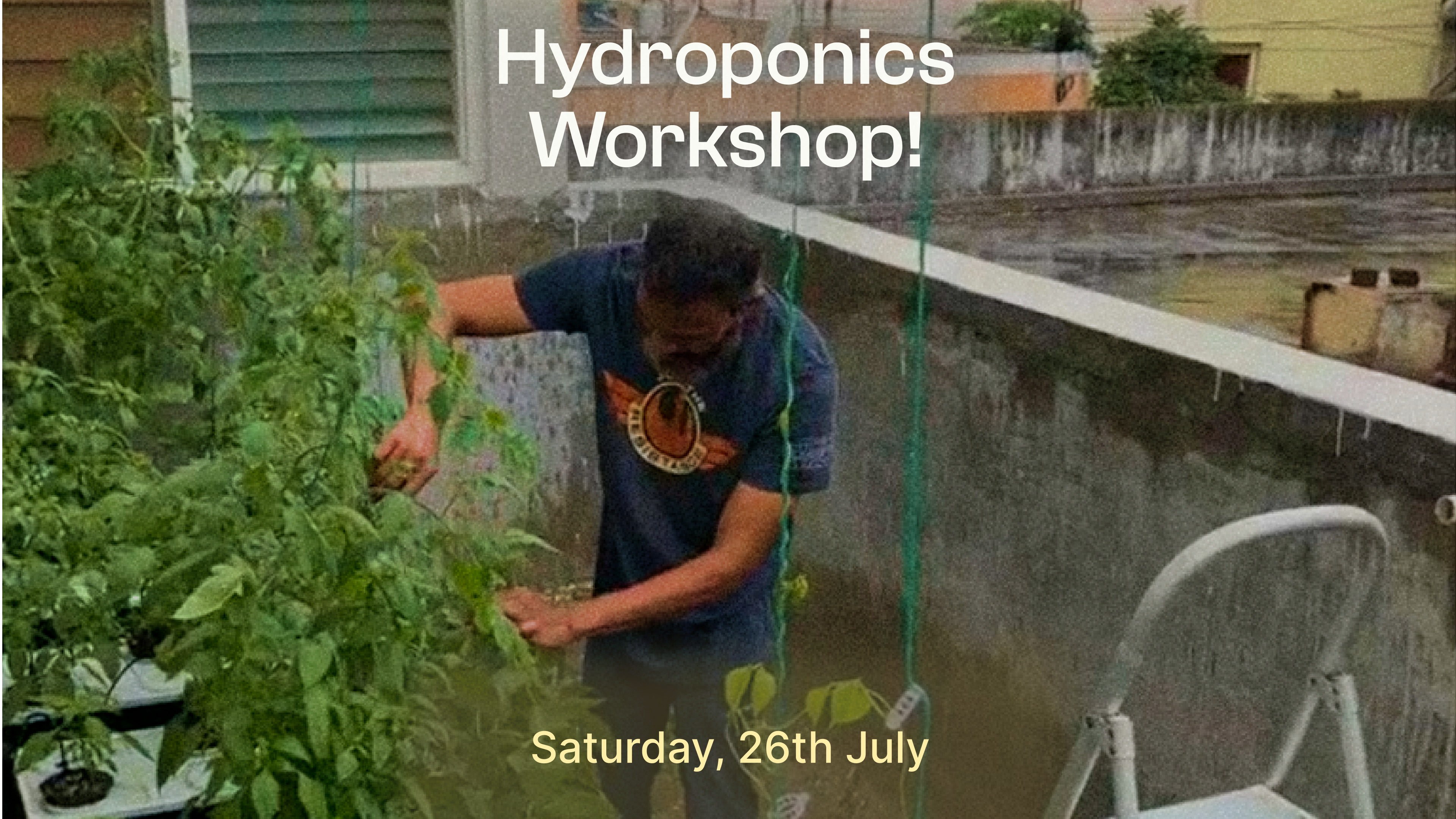 Hydroponics 101 - Image 2