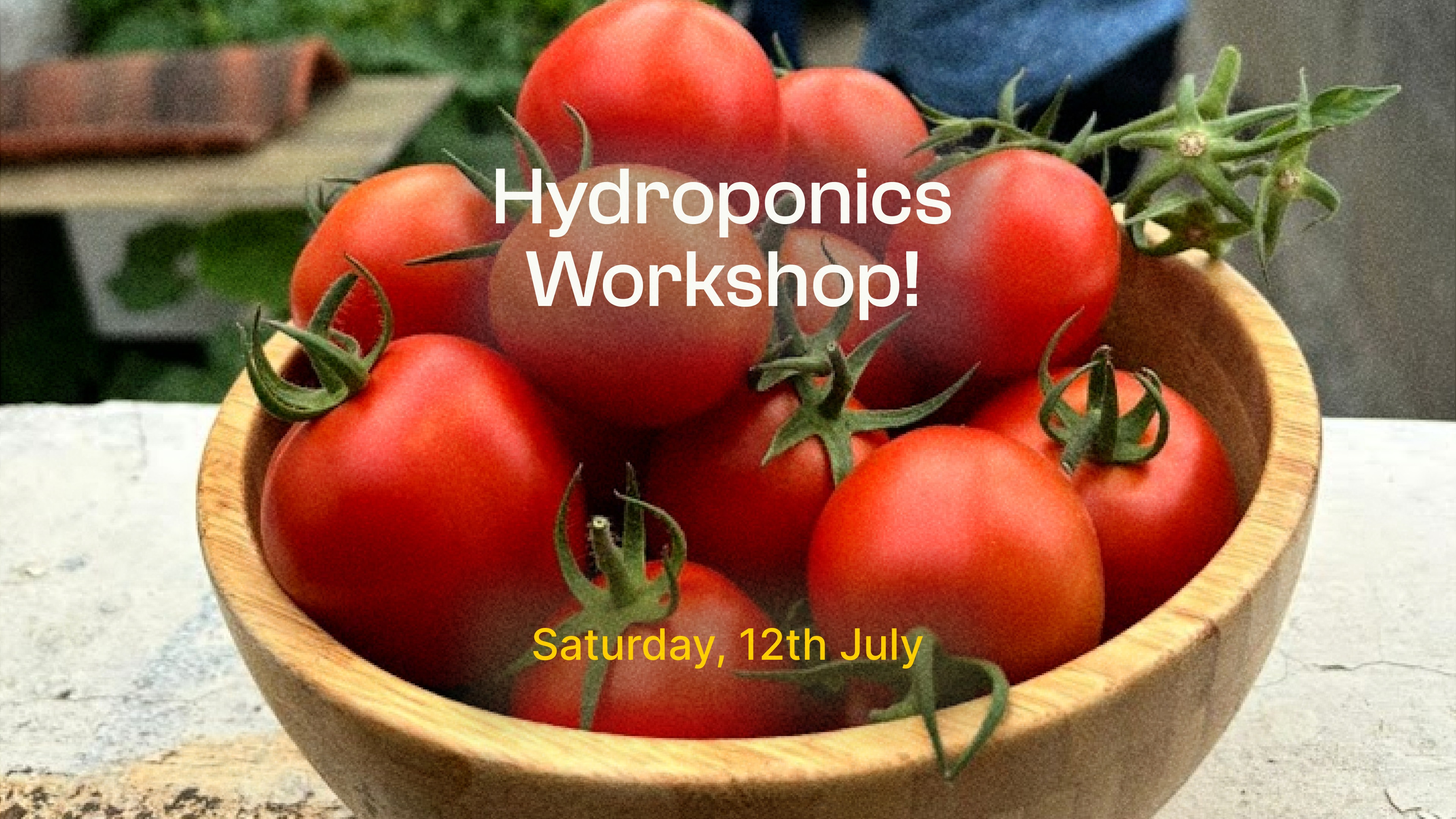 Hydroponics 101 - Image 3