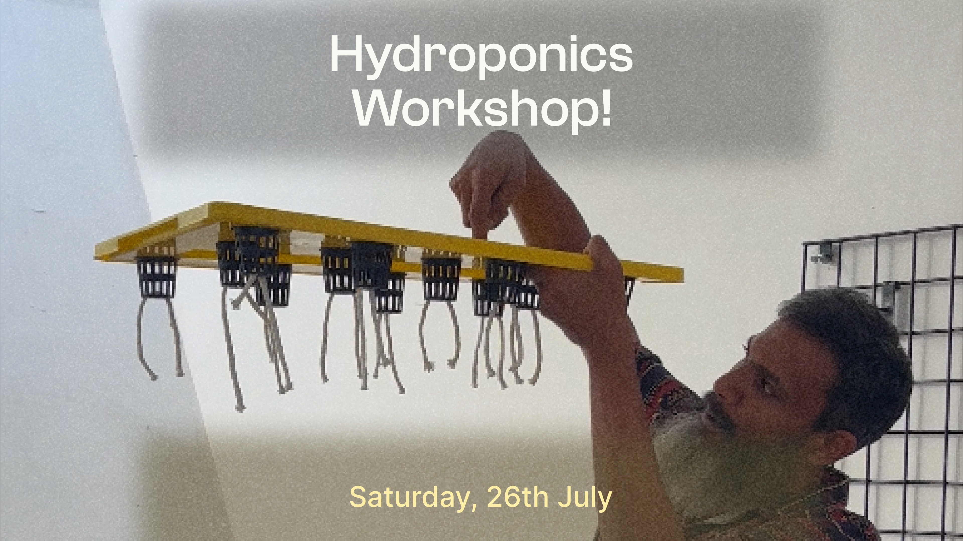 Hydroponics 101 - Image 1